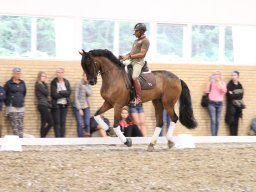 IMG_1567_web